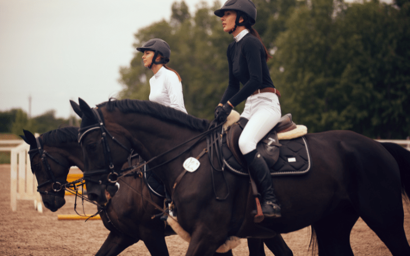 A scene of equestrian training and dressage tournaments with equipment