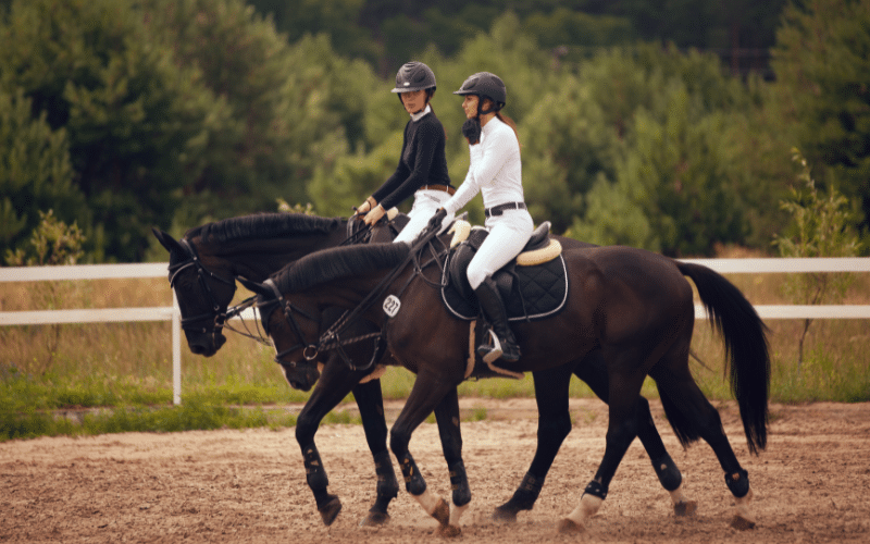 Female equestrians overcoming obstacles, achieving success in competitive horseback riding