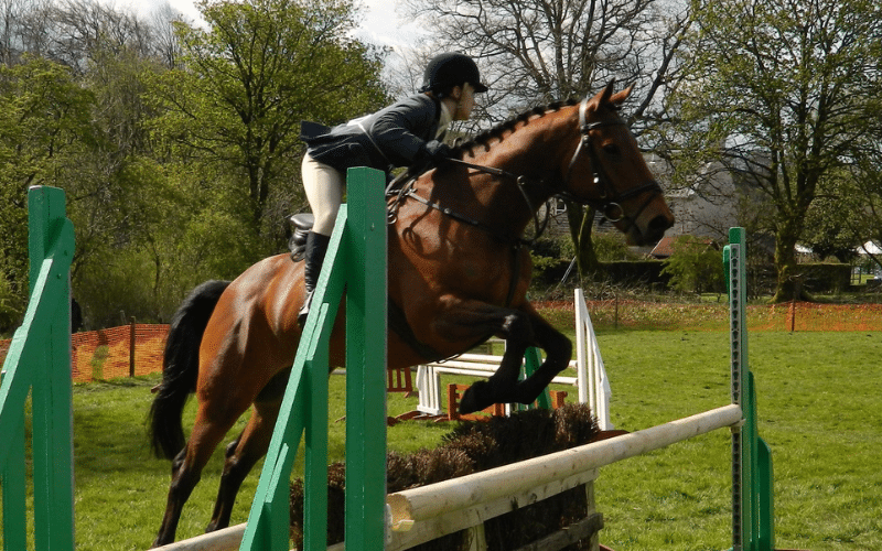 A beginner's spring riding training and exercises, with jumps and obstacles in a well-maintained arena